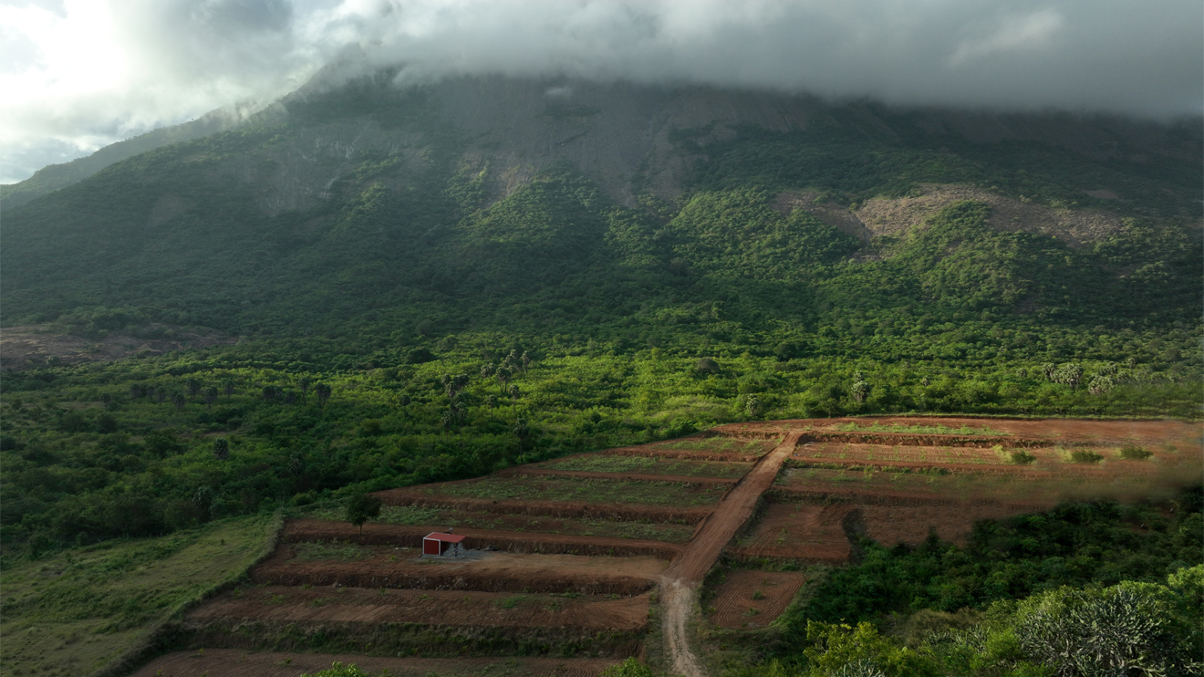 Mountain view